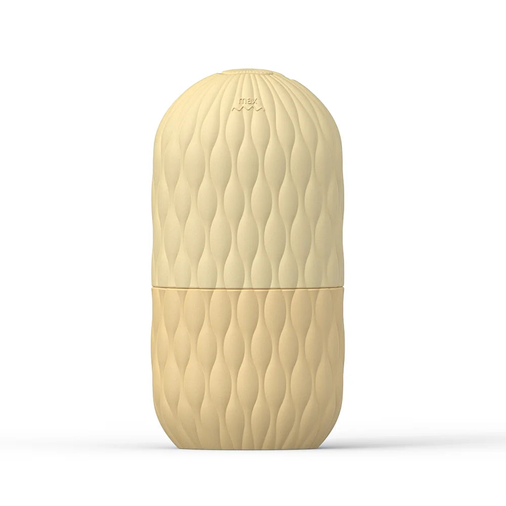 Ice Roller for Face