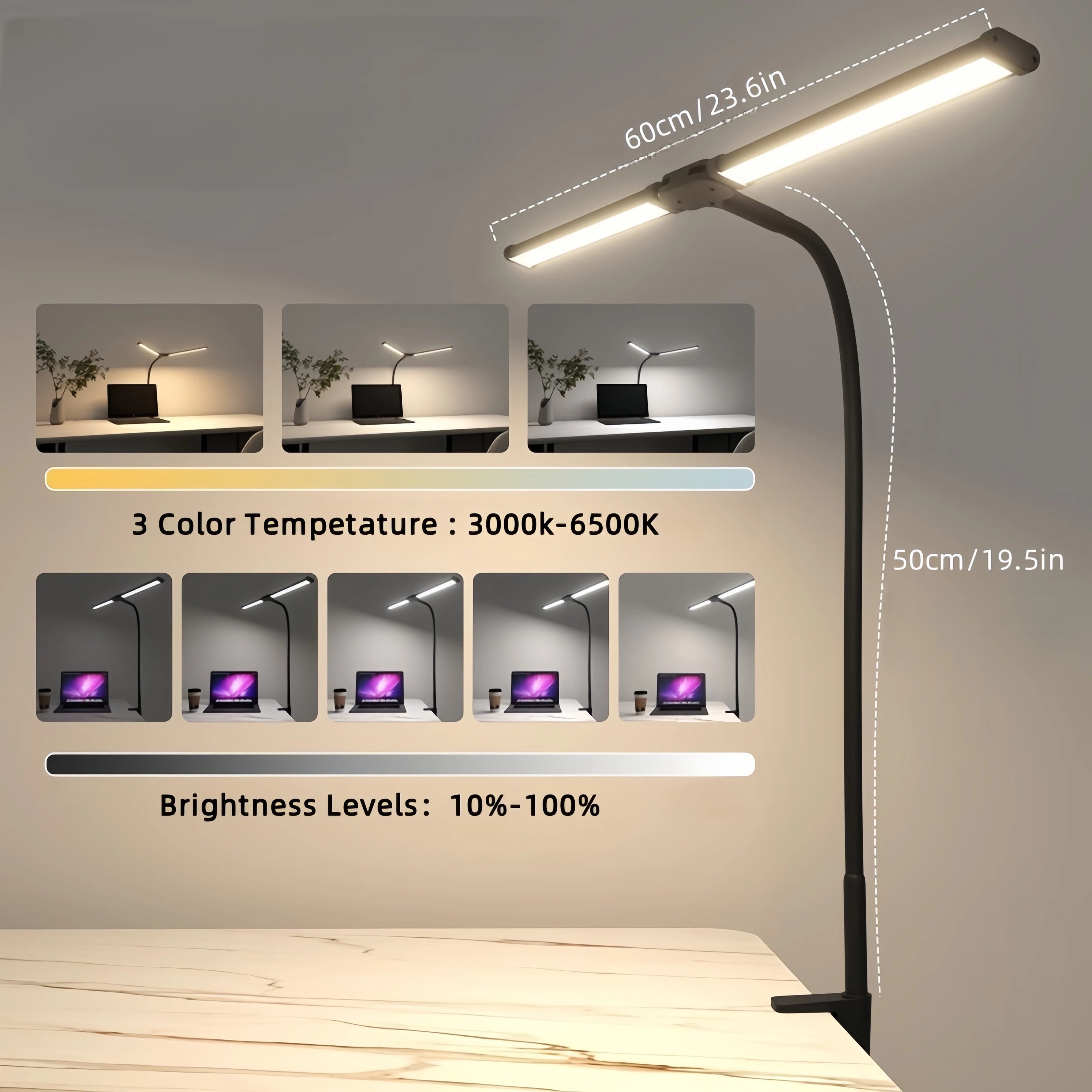 Double Head Desk Lamp