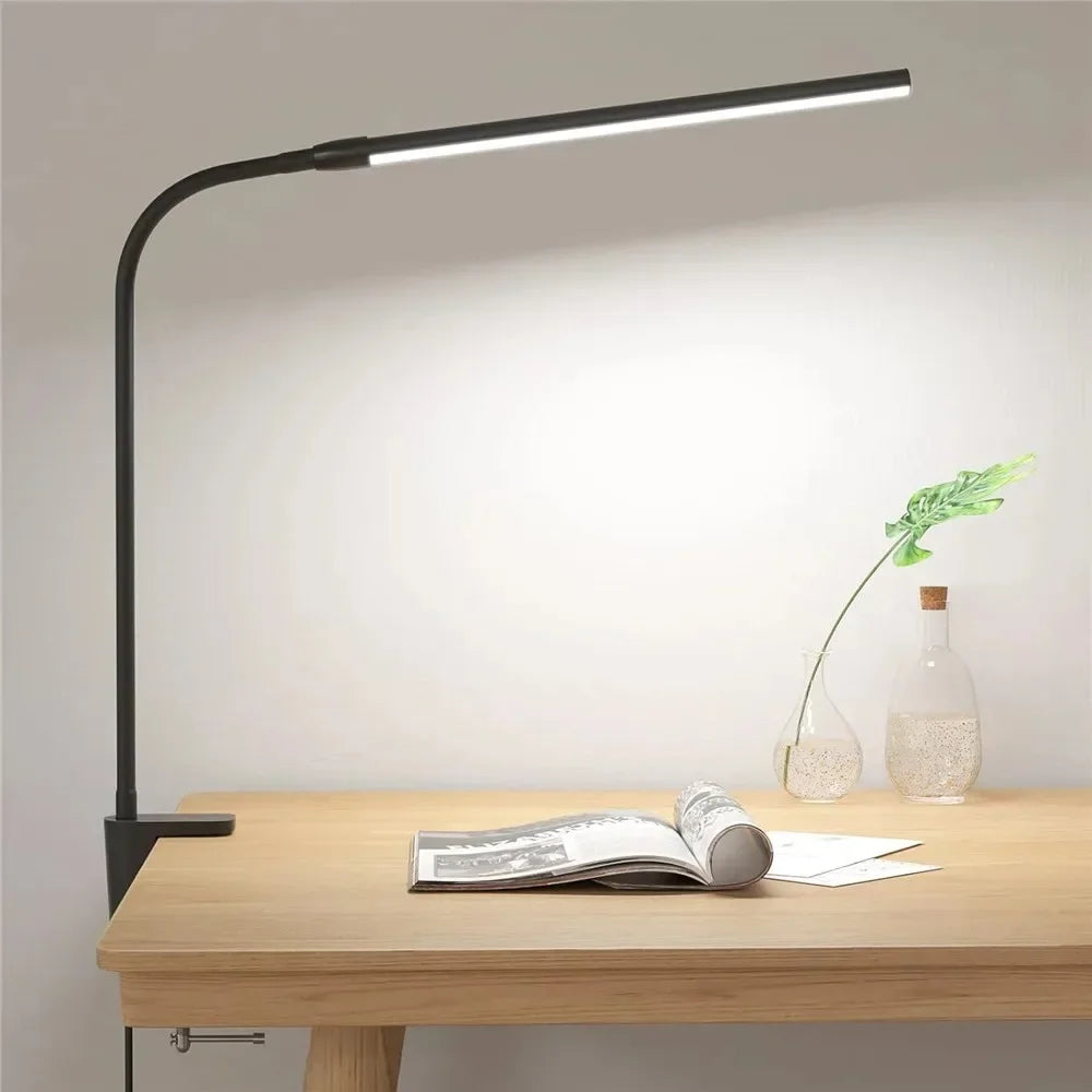 Double Head Desk Lamp