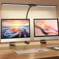 Double Head Desk Lamp