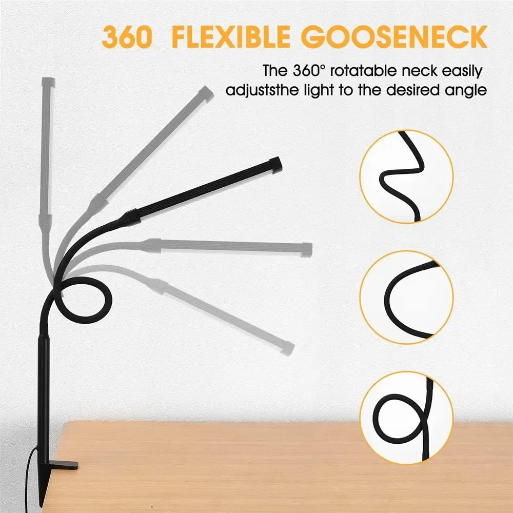 Double Head Desk Lamp