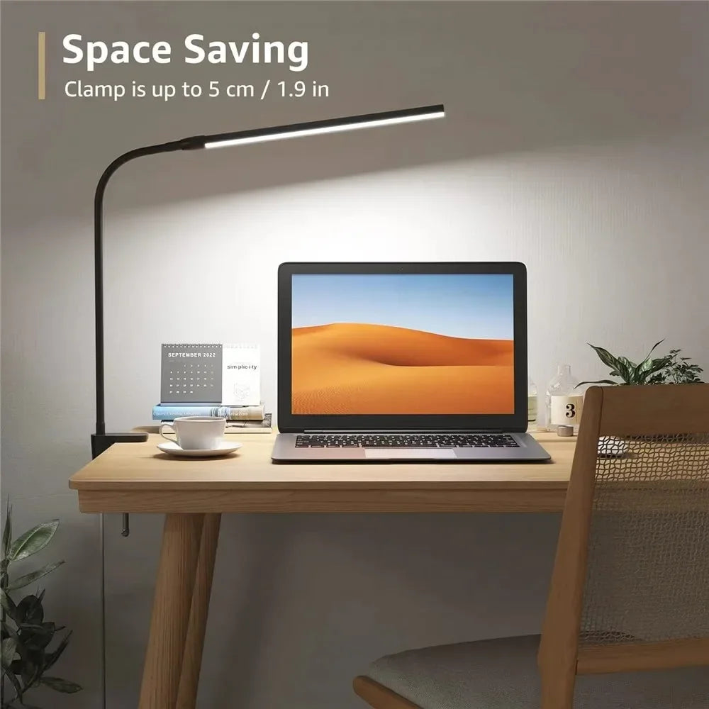 Double Head Desk Lamp