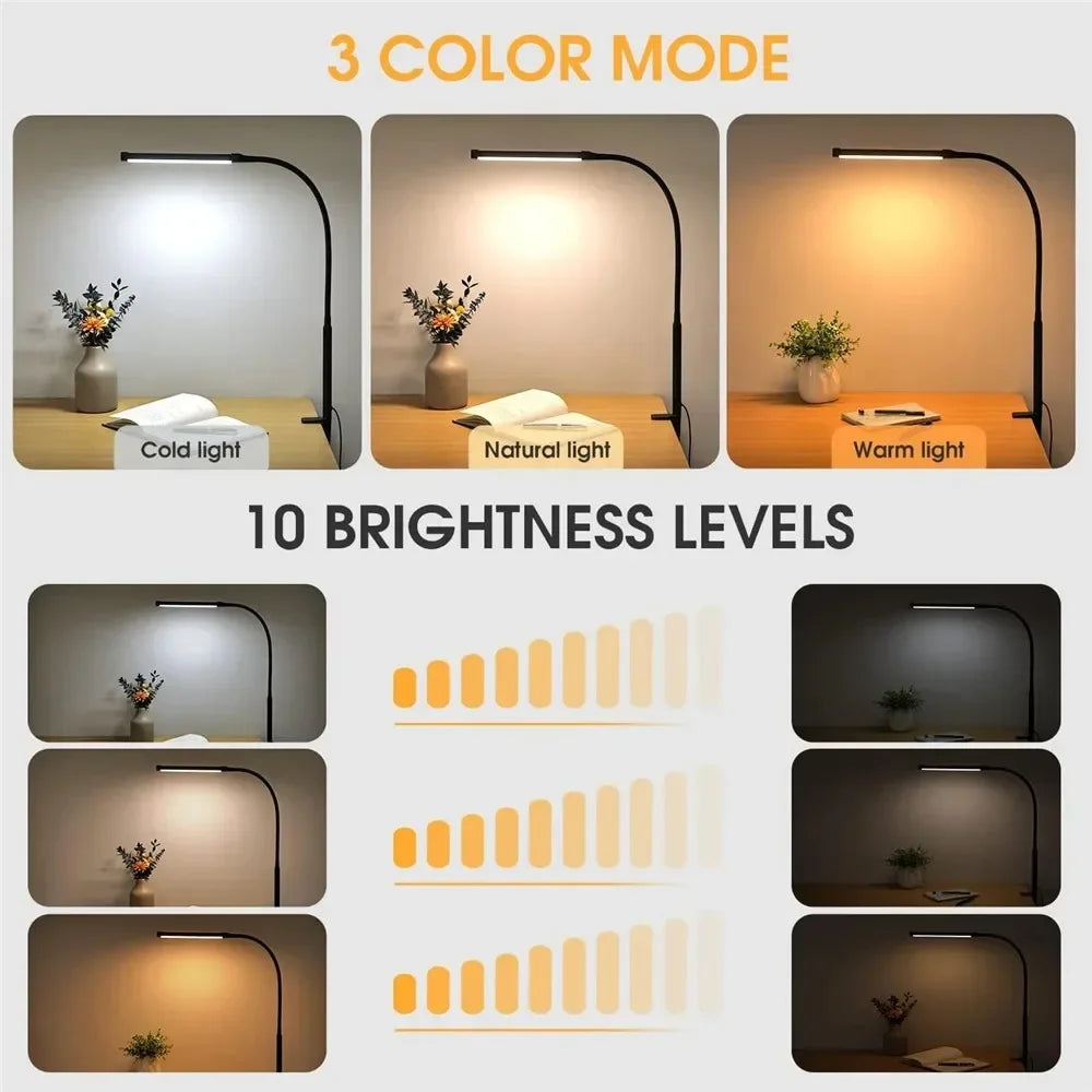 Double Head Desk Lamp