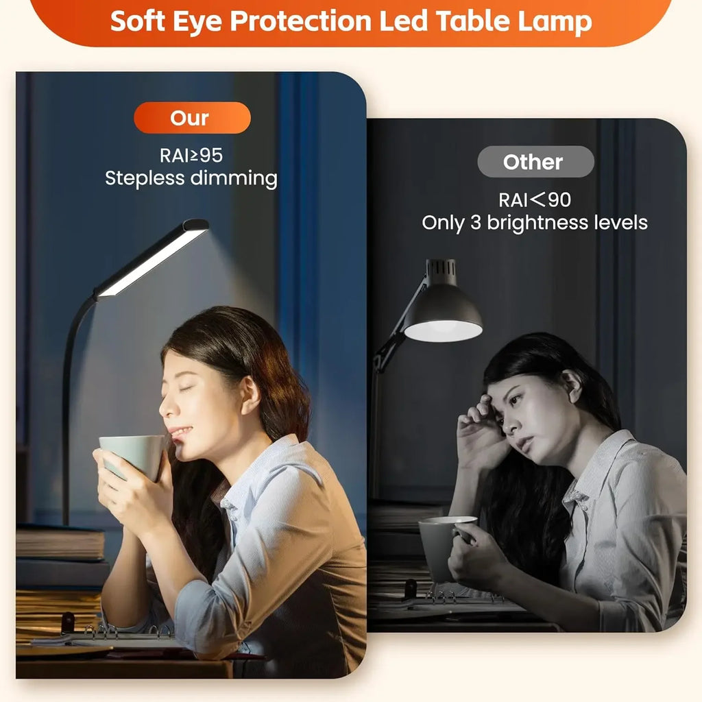 Double Head Desk Lamp