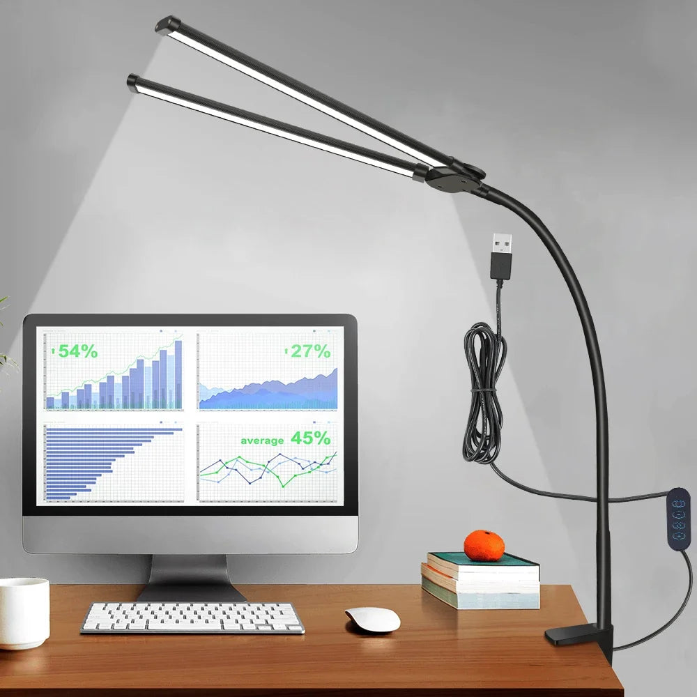 Double Head Desk Lamp
